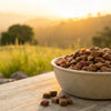 Is Freeze Dried Raw Dog Food Good for Dogs? Understanding the Benefits and Considerations