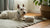 Is Fresh Dog Food Good for Dogs? Exploring the Benefits and Considerations