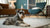Is Fresh Food Better for Dogs? Understanding the Benefits and Considerations