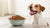 Is Grain-Free Dog Food Bad for Dogs? Unpacking the Controversy