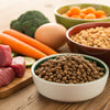 Is Grain-Free Dog Food Bad for Your Dog's Heart? Understanding the Risks and Revelations