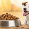 Is Grain-Free Dog Food Best? A Deep Dive into Pros, Cons, and Vet Insights