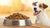 Is Grain-Free Dog Food Best? A Deep Dive into Pros, Cons, and Vet Insights
