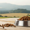 Is Grain Free Dog Food Gluten Free? Understanding the Differences and Benefits
