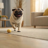Is Grain-Free Dog Food Good for Allergies? A Comprehensive Exploration