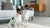 Is Grain Free Dog Food Good for Diabetic Dogs? Navigating Nutrition for Your Diabetic Pup