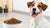 Is Grain-Free Dog Food Good for Dogs with Allergies?