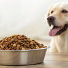 Is Grain-Free Dog Food Harmful? Understanding the Risks and Benefits for Your Pup