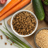 Is Grain-Free Dog Food Really Bad? Understanding the Risks and Benefits
