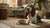 Is Grain Free Food Bad for Dogs? What Every Dog Owner Needs to Know