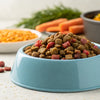 Is Grain Free Food Good for Dogs with Allergies