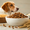 Is Grain-Free Food Safe for Dogs? Understanding the Risks and Benefits