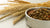 Is Grain-Free Kibble Better for Dogs? Understanding the Benefits and Risks