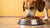 Is Grain Free Kibble Good for Dogs? Understanding the Pros and Cons
