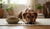 Is High Protein Dry Food Good for Dogs? Understanding Nutritional Needs for Optimal Health