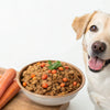 Is Homemade Dog Food Better for Your Dog? Exploring the Pros and Cons