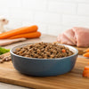 Is Homemade Dog Food Good for My Dog? Exploring the Pros and Cons
