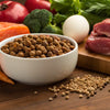 Is Homemade Dog Food Healthier Than Kibble? A Comprehensive Guide for Pet Owners