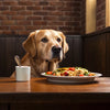 Is It Bad for Dogs to Eat Grain-Free Food? Understanding the Dangers and Benefits