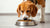 Is It Bad for Dogs to Eat Hot Food? Understanding the Implications for Our Furry Friends-140212371695