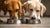 Is It Bad for Dogs to Share Water Bowls? Understanding the Health Implications