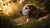 Is It Bad for Older Dogs to Eat Puppy Food? Understanding Your Dog's Nutritional Needs
