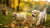 Is it Bad for Puppies to Eat Dog Food?