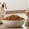 Is It Bad If My Adult Dog Eats Puppy Food? Understanding the Nutritional Differences