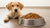 Is It Bad to Give Adult Dogs Puppy Food? Understanding the Nutritional Needs of Your Beloved Pet