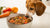 Is It Better to Feed Your Dog Homemade Food?