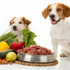 Is It Better to Feed Your Dog Raw Food: An In-Depth Exploration
