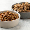 Is It Better to Wet Dry Dog Food? Exploring the Benefits and Drawbacks