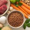 Is It Cheaper to Make Your Own Raw Dog Food? A Comprehensive Guide