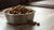 Is It Good to Wet Dry Dog Food? A Comprehensive Guide for Pet Owners