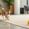 Is It Harmful for a Dog to Eat Cat Food? Understanding the Risks and Benefits