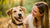 Is It Healthy for a Dog to Eat Human Food? A Comprehensive Guide for Pet Owners-140299403503
