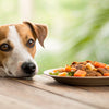 Is It Healthy for Dogs to Eat Human Food? Understanding the Risks and Benefits