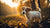Is It Ok for Puppies to Eat Adult Dog Food? A Comprehensive Guide for Pet Owners