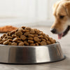 Is It OK to Add Milk to Dry Dog Food? Understanding the Benefits and Risks