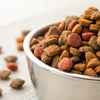 Is It OK to Add Water to Dry Dog Food? Exploring the Benefits and Risks