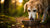 Is It OK to Feed an Older Dog Puppy Food? Understanding the Nutritional Needs of Dogs at Different Life Stages