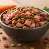 Is It OK to Mix Raw and Dry Dog Food? Understanding the Benefits and Risks