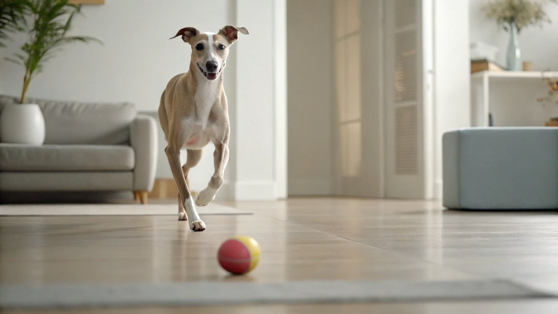 Is It Ok to Mix Raw Dog Food with Kibble?