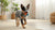 Is It OK to Mix Water with Dry Dog Food? Exploring the Benefits and Considerations