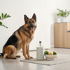 Is It OK to Mix Wet Dog Food with Dry? Exploring the Benefits and Considerations