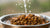 Is It OK to Soften Dry Dog Food with Water? Exploring the Benefits and Risks