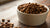 Is It Ok to Wet Dry Dog Food? Exploring the Benefits and Drawbacks