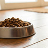 Is It Okay for Adult Dogs to Eat Puppy Food? Understanding Nutritional Needs