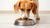 Is It Okay for Dogs to Eat Dog Food Every Day? A Comprehensive Guide