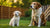 Is It Okay to Feed Puppy Food to Adult Dogs? Understanding the Nutritional Needs of Dogs at Different Life Stages
